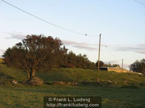 Around Lough Arrow